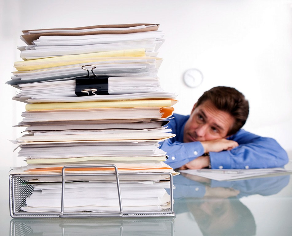 Document Translation Services