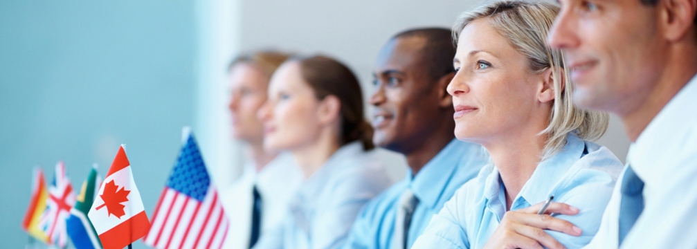 Language Translation Services. Integration of Translation.