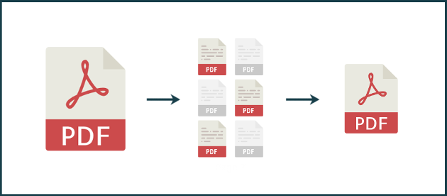 PDF Document Translation